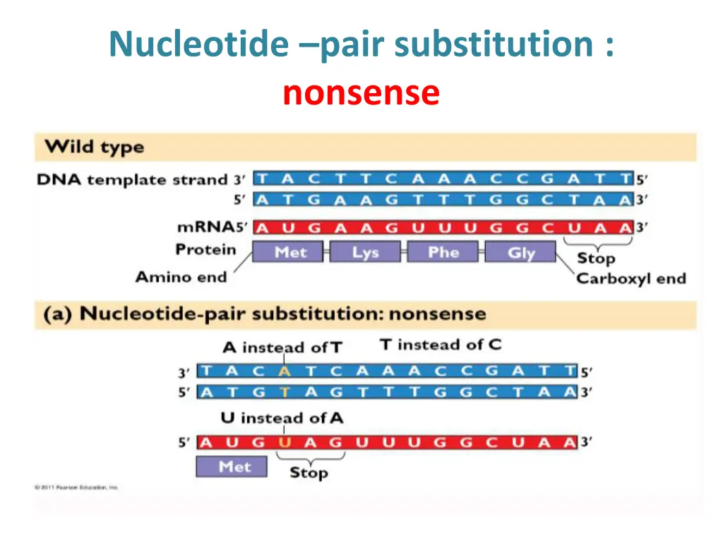 nucleotide pair substitution nonsense