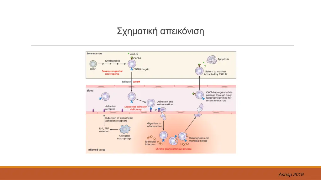 slide5