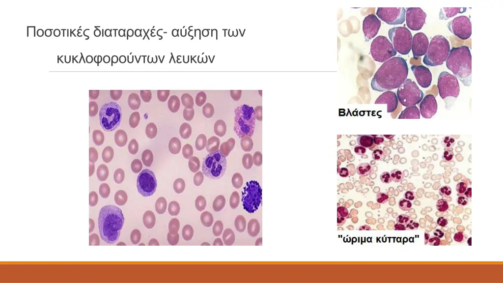 slide8