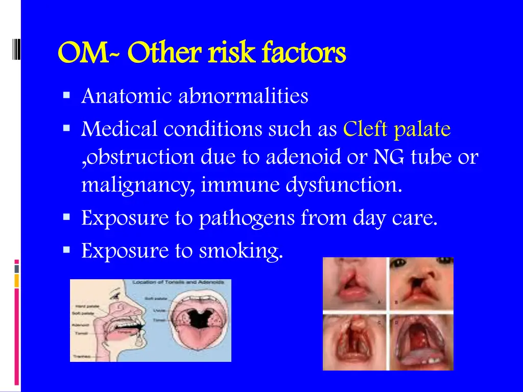 om om other risk factors other risk factors