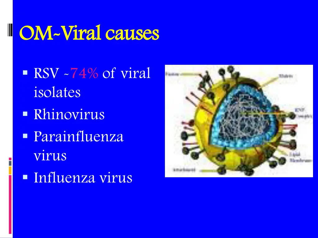 om om viral causes viral causes