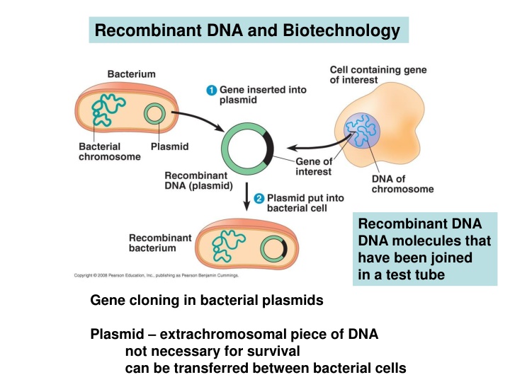 recombinant dna and biotechnology