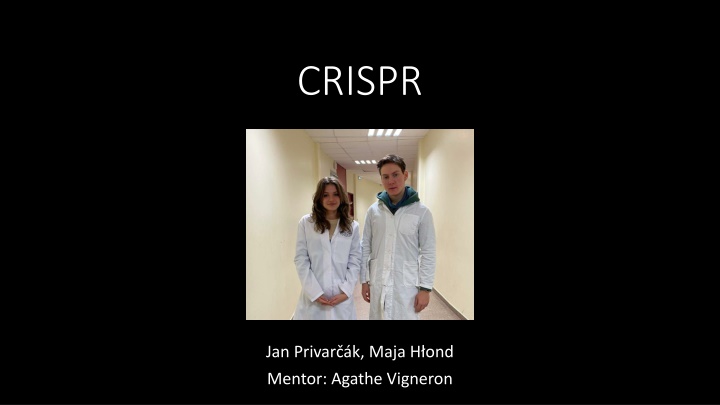 crispr