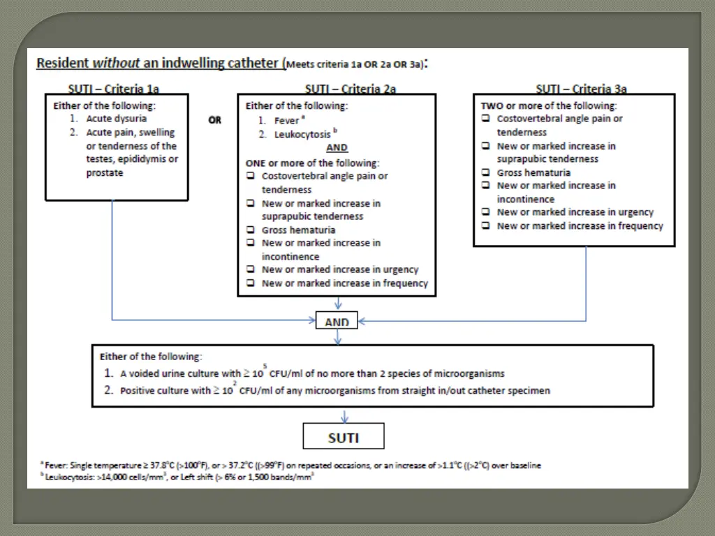 slide19