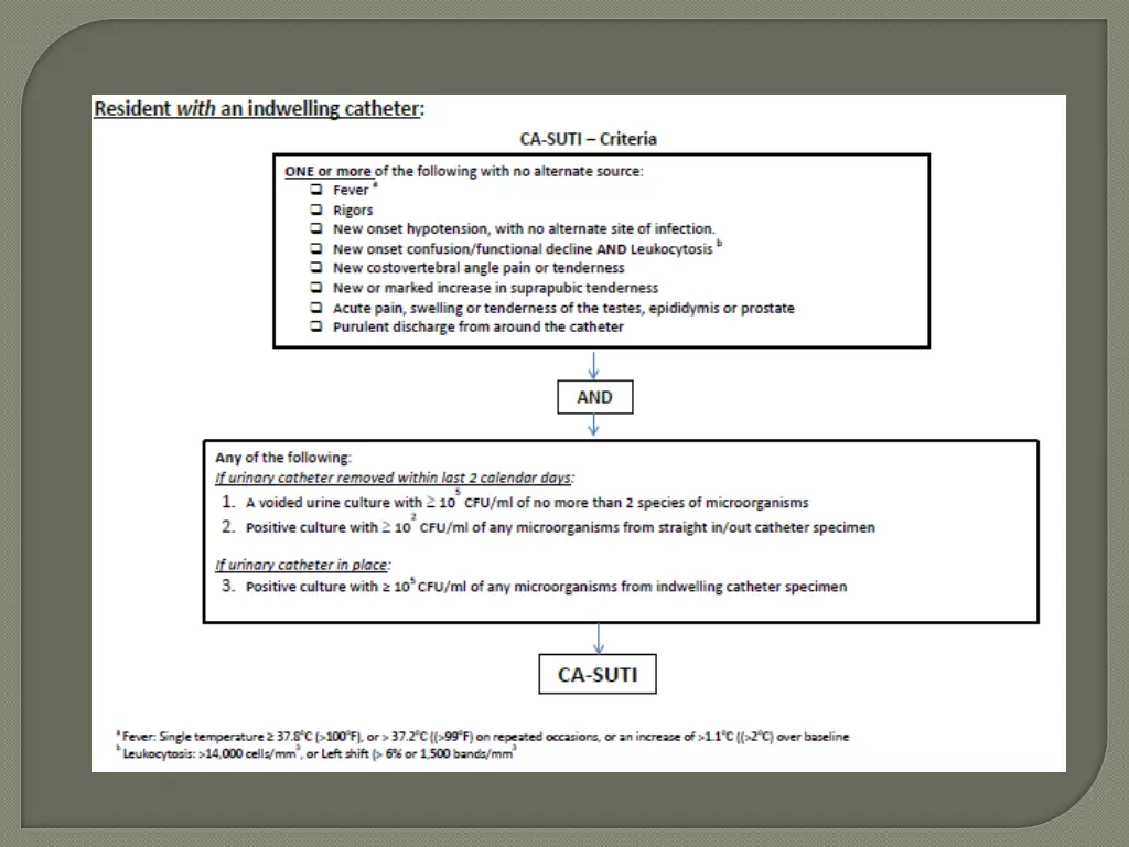 slide20