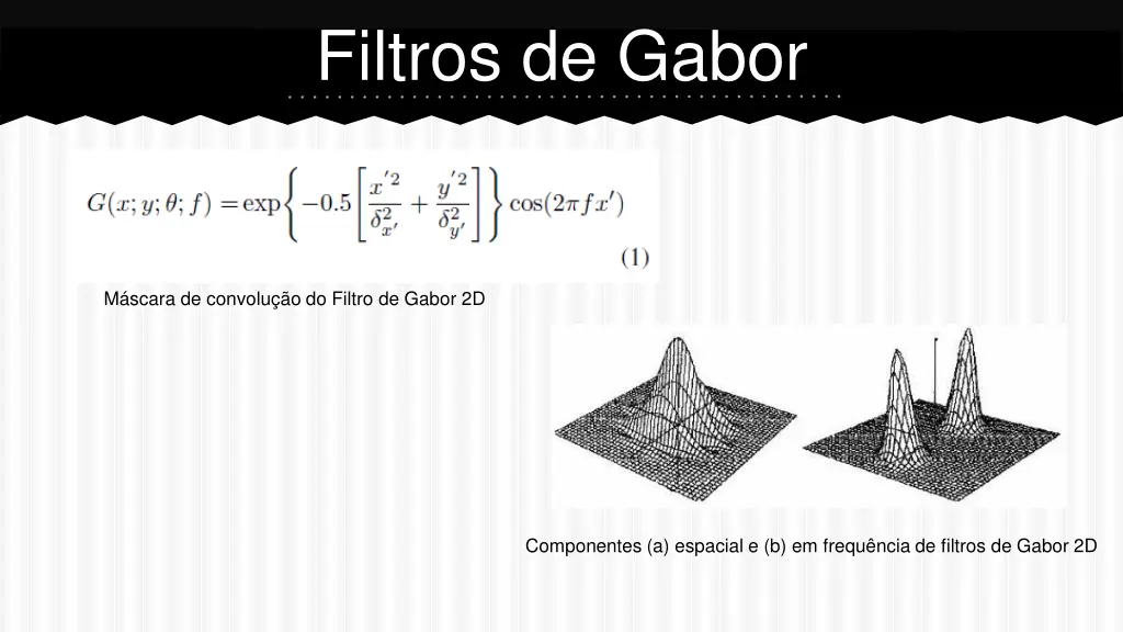 filtros de gabor