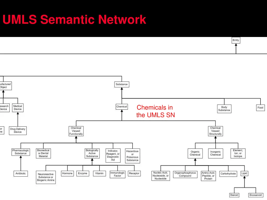 umls semantic network 1