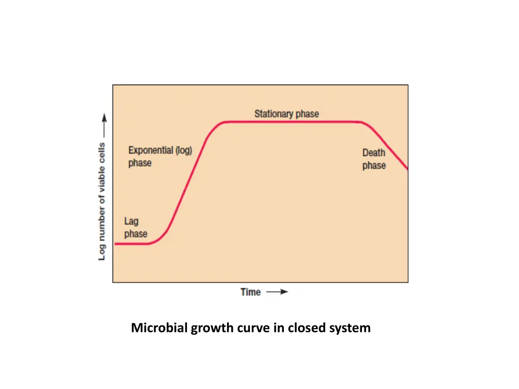 microbial growth curve in closed system