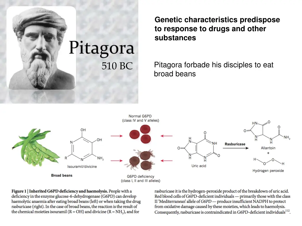 genetic characteristics predispose to response
