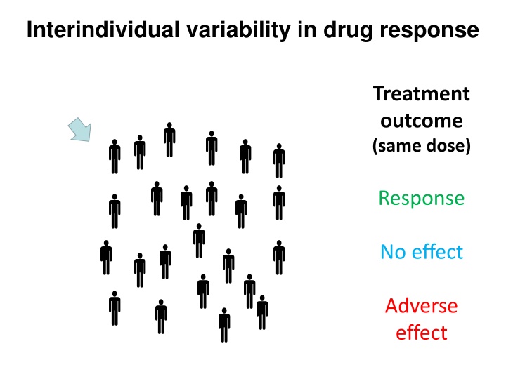 interindividual variability in drug response