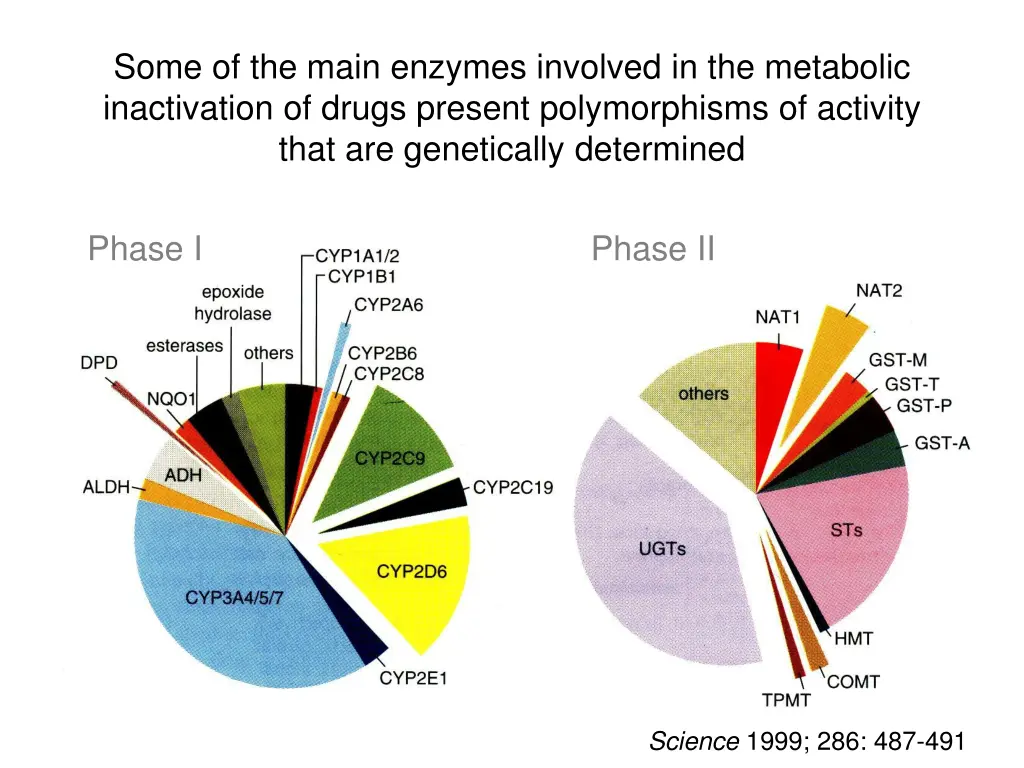 some of the main enzymes involved