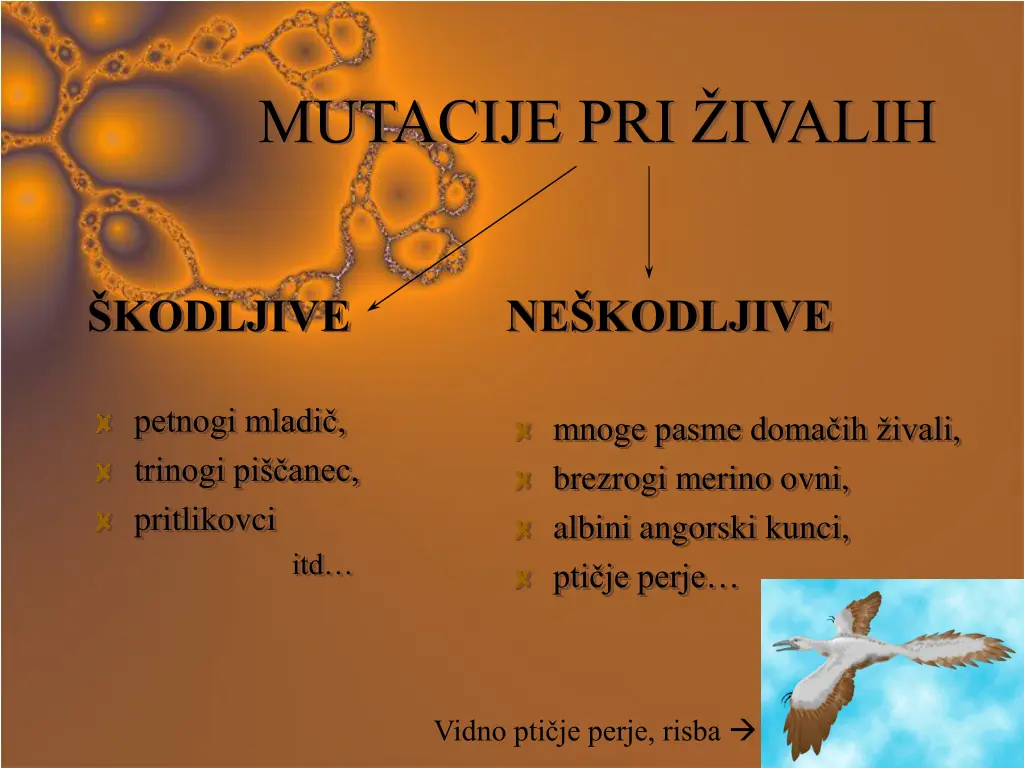 mutacije pri ivalih