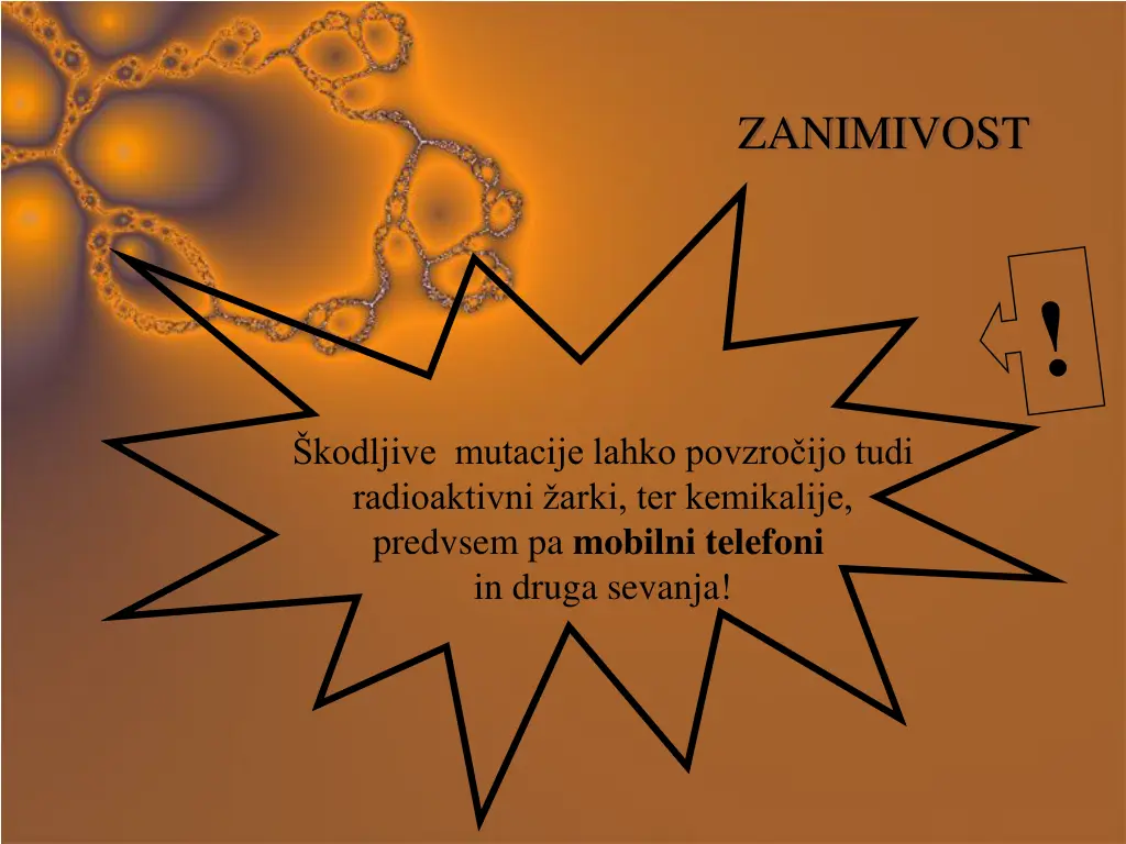 zanimivost