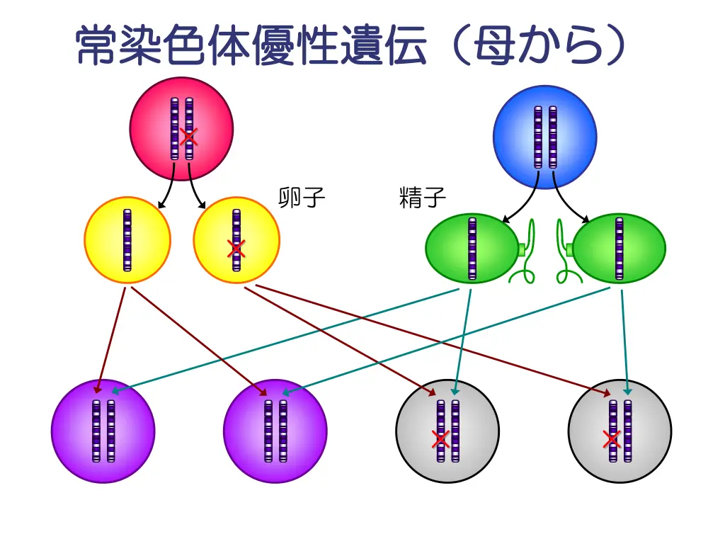 slide10