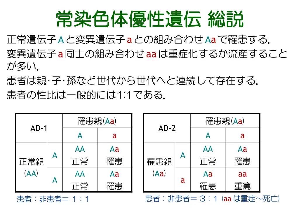 slide12