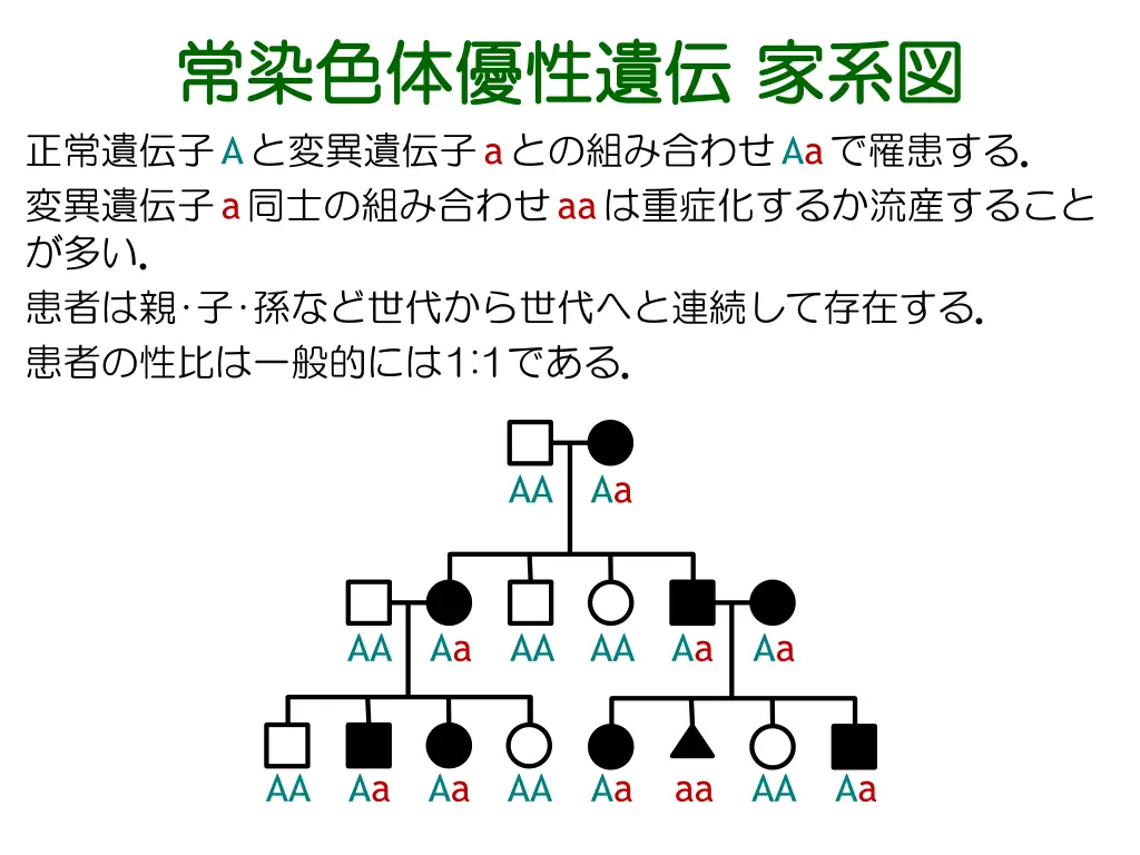 slide13