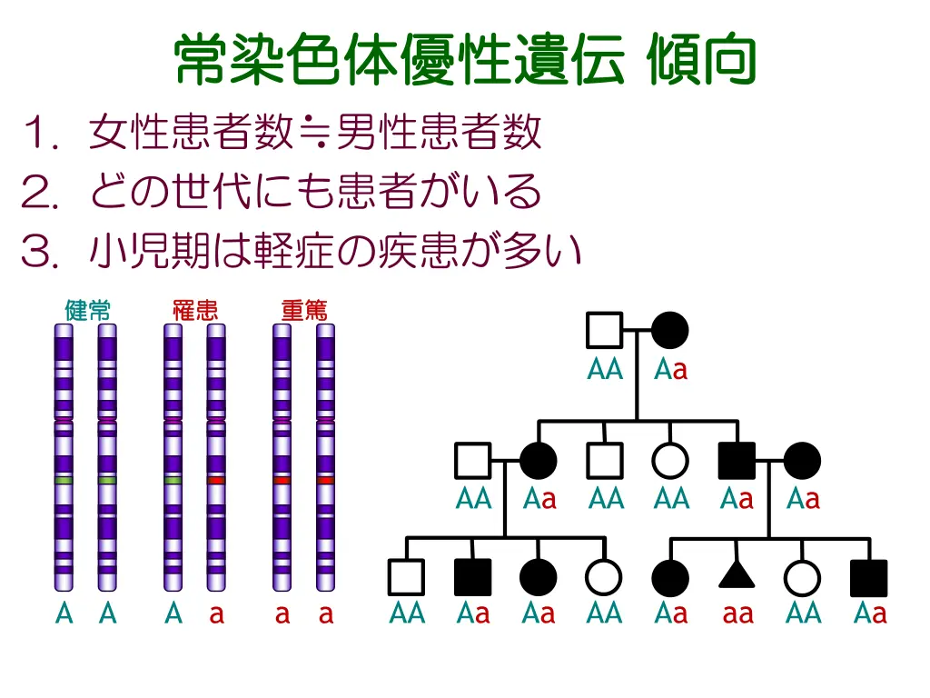 slide14