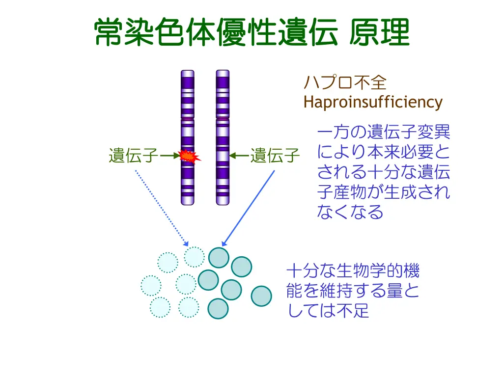 slide4