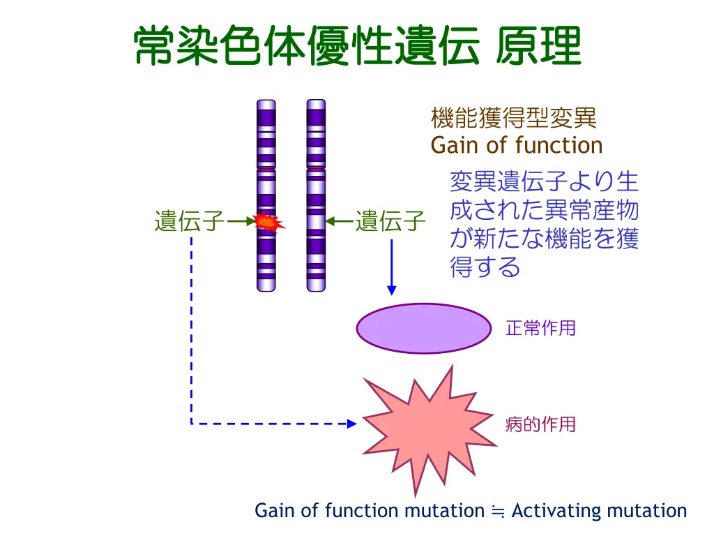 slide6