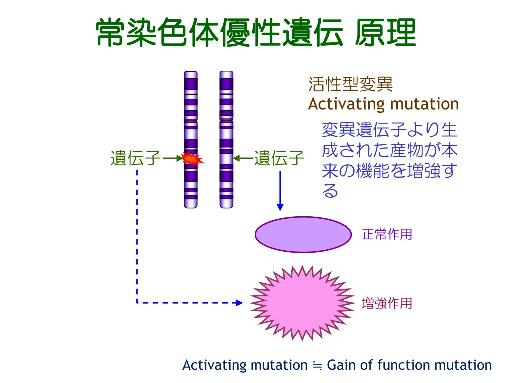 slide7