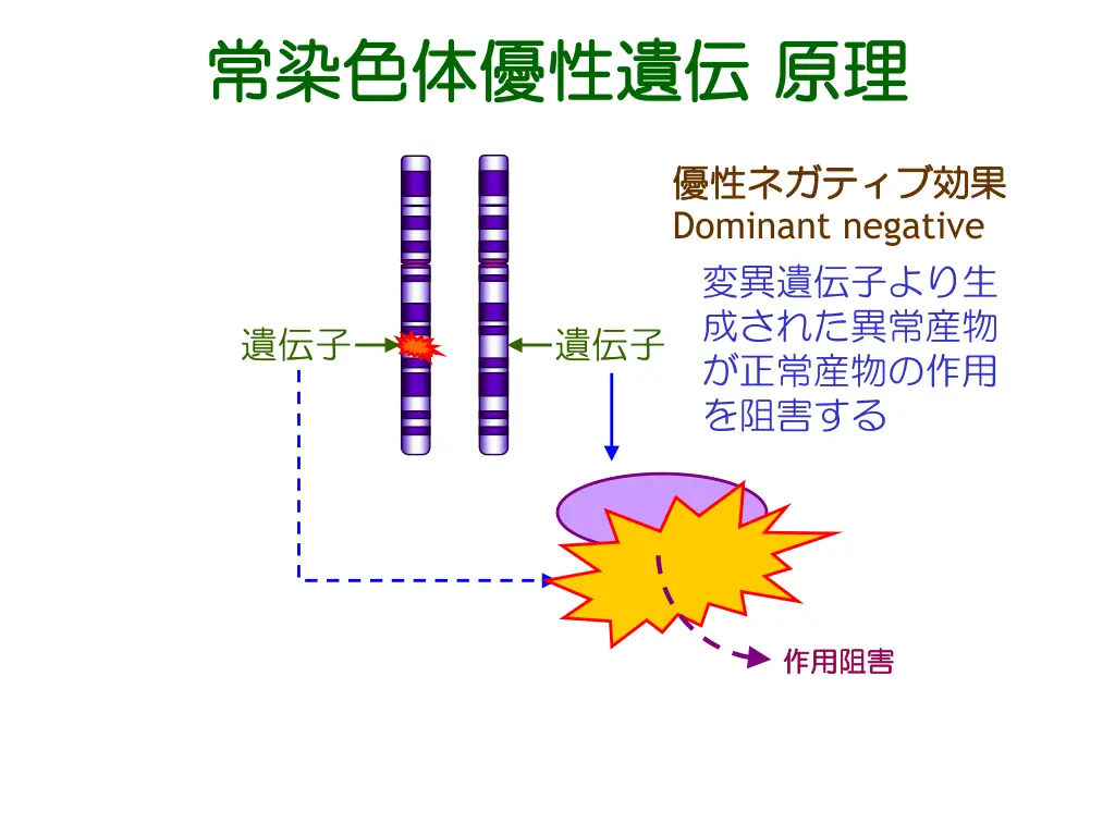 slide8