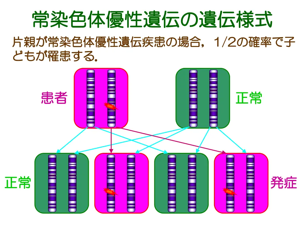 slide9