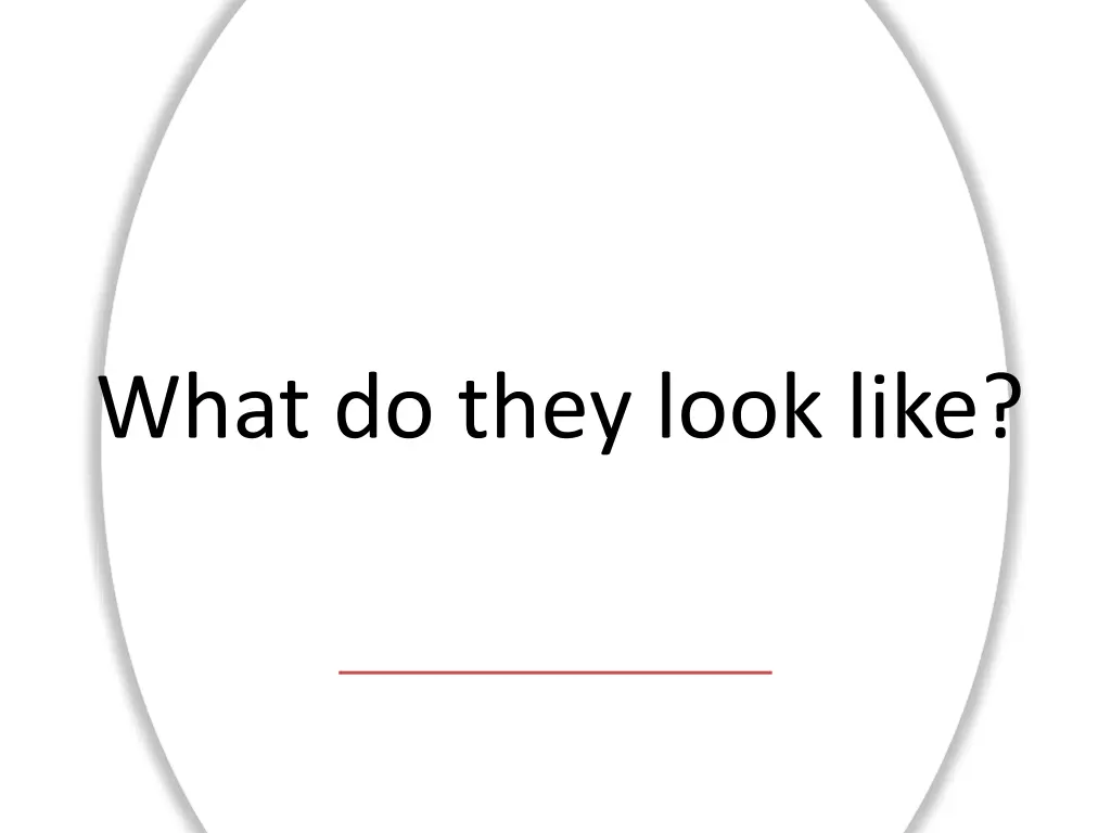 what do they look like