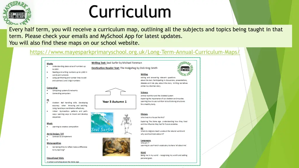 curriculum