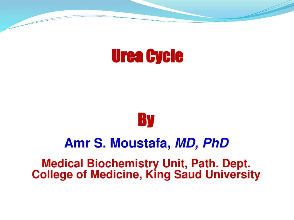 urea cycle urea cycle