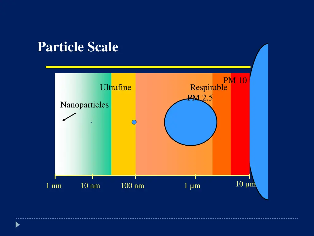 particle scale