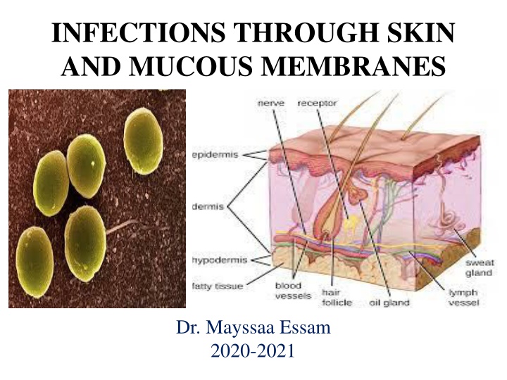 infections through skin and mucous membranes