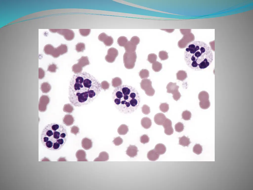 slide8