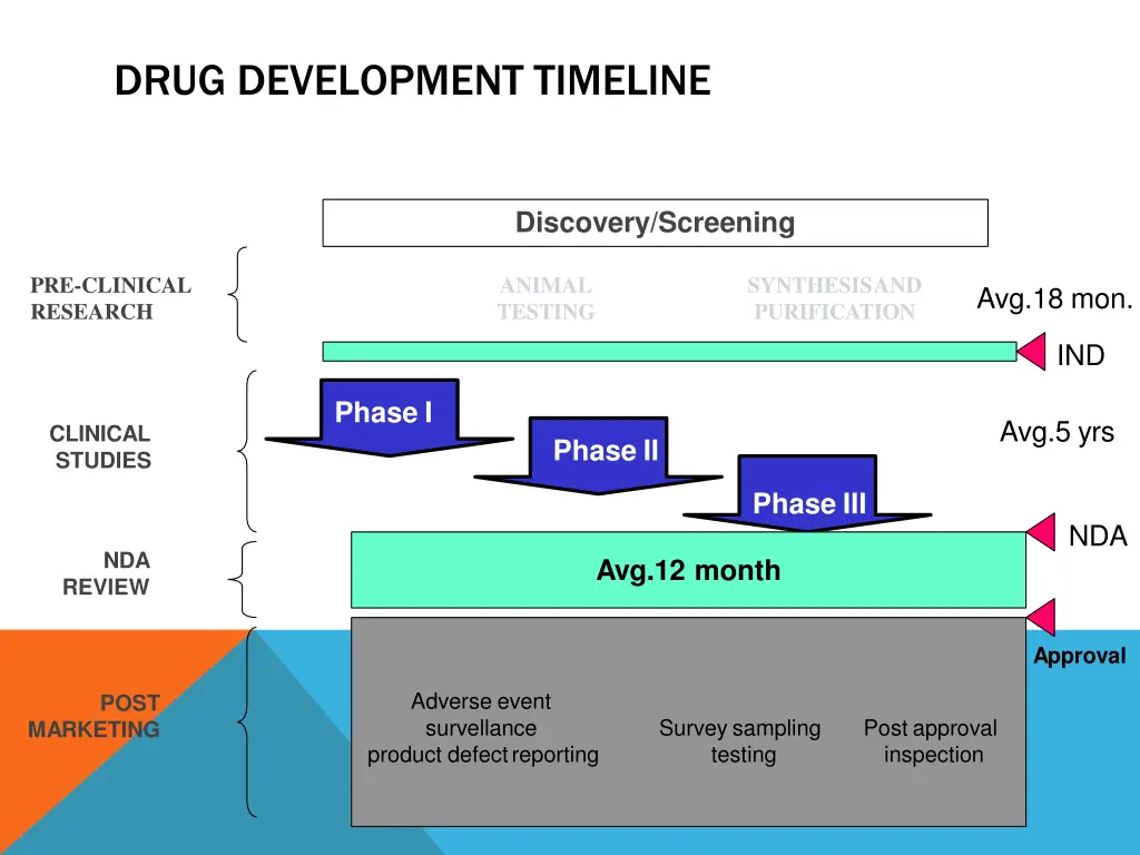 drug development timeline