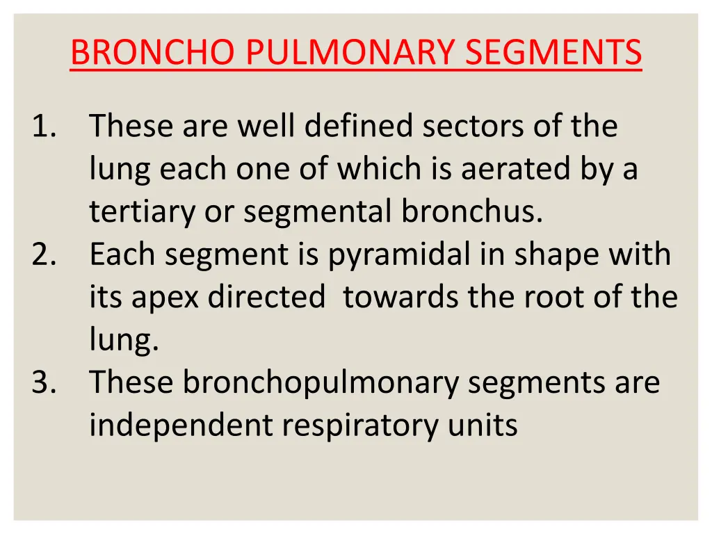 broncho pulmonary segments
