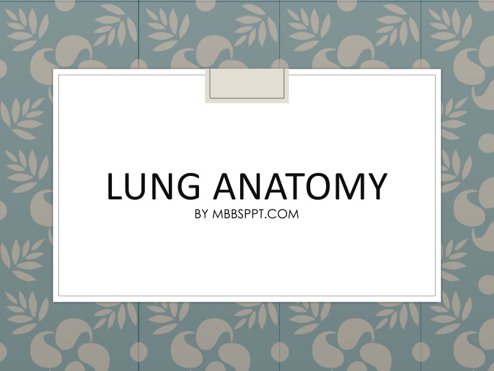 lung anatomy by mbbsppt com