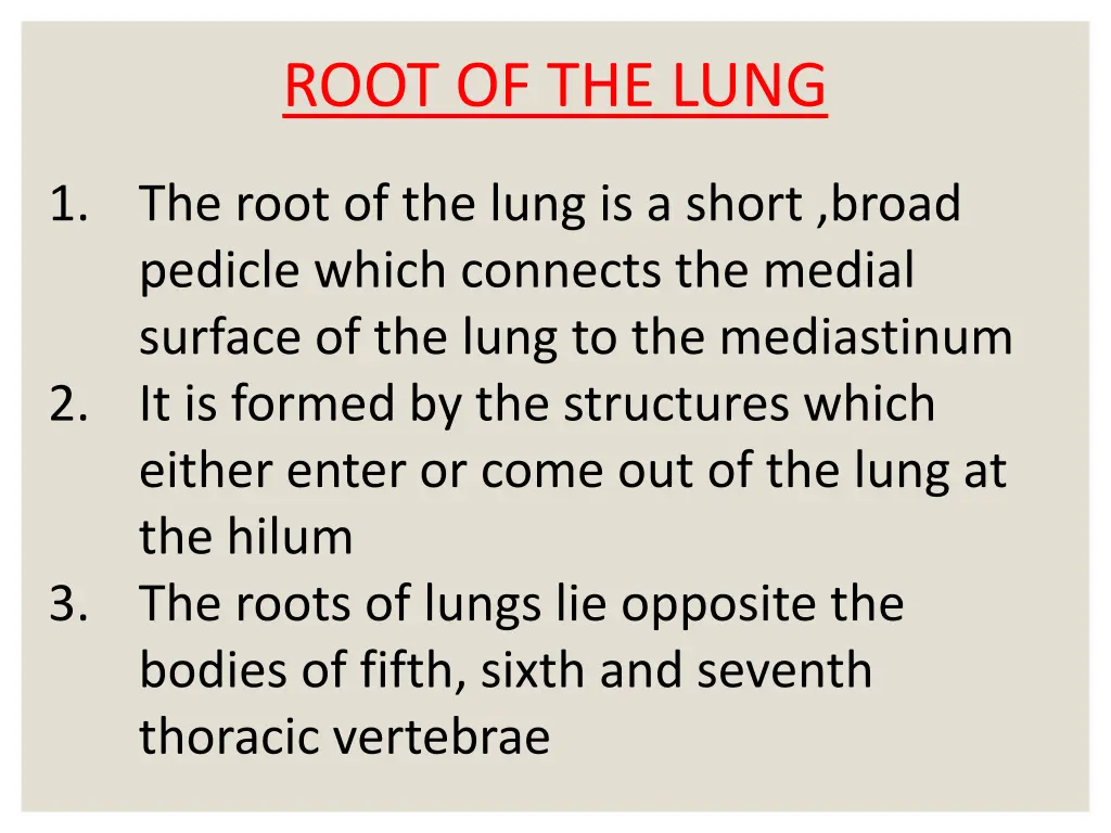 root of the lung