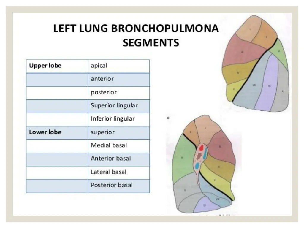 slide13