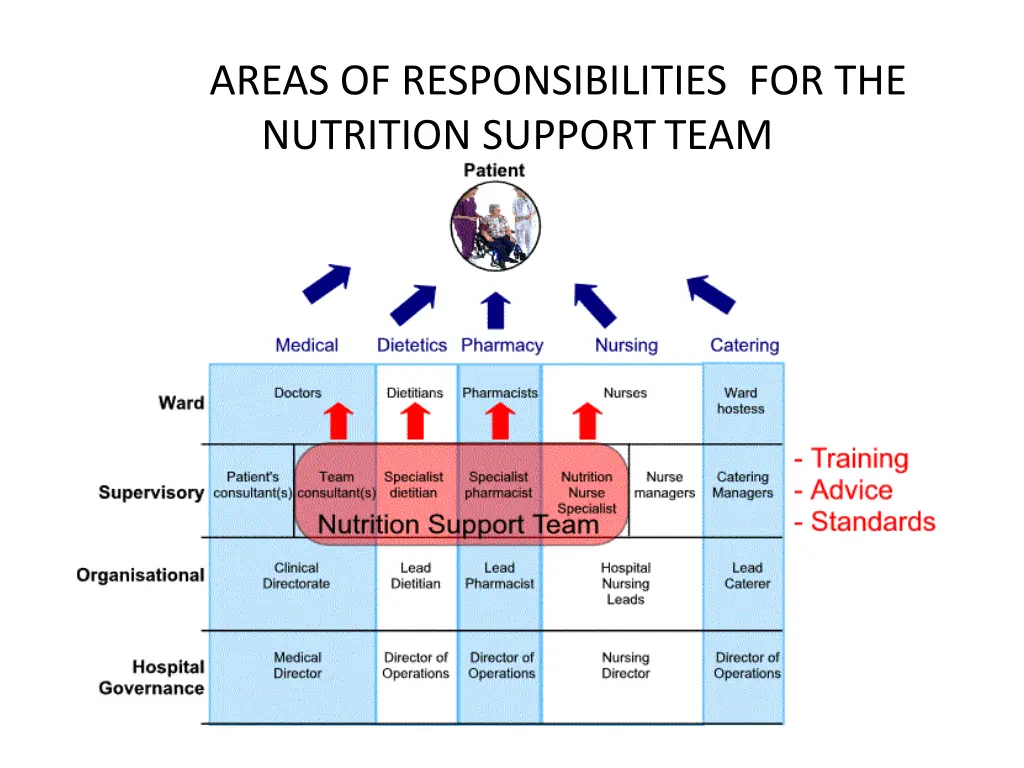 areas of responsibilities for the nutrition