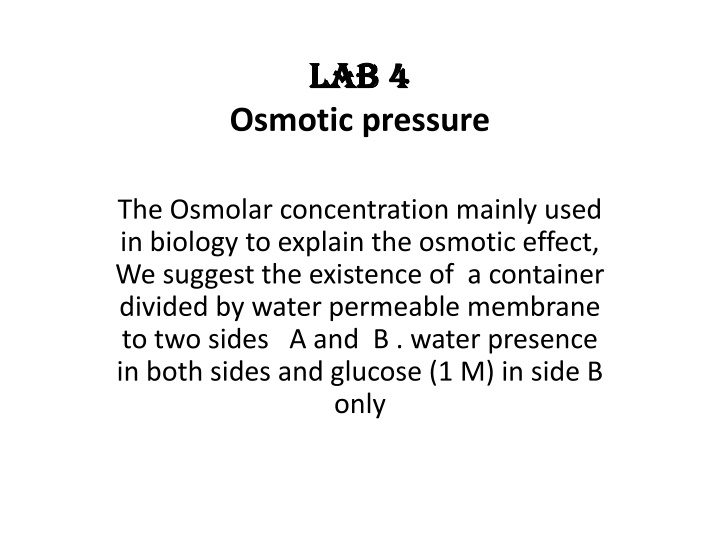 lab 4 lab 4