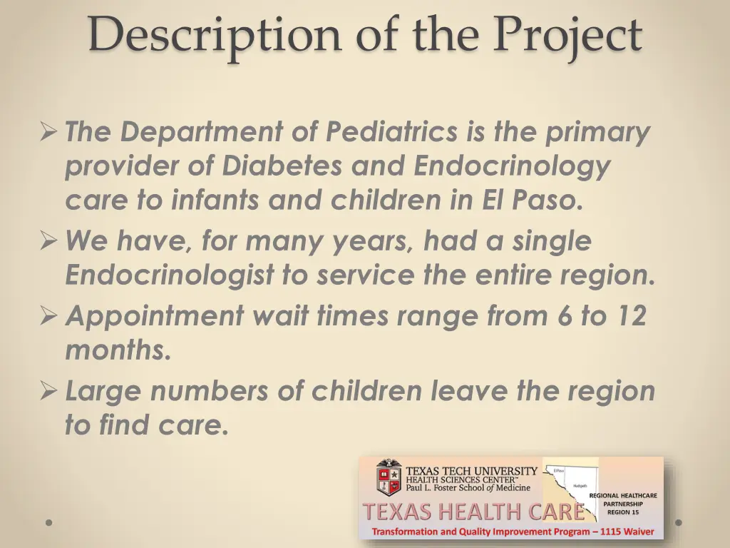 description of the project