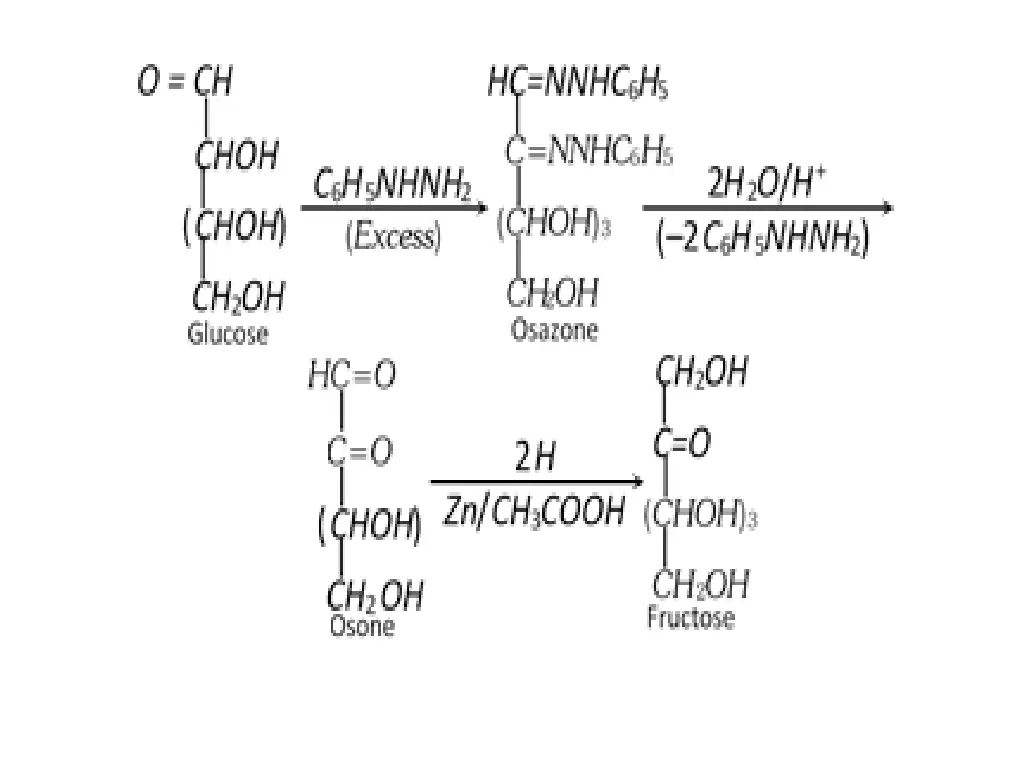 slide7