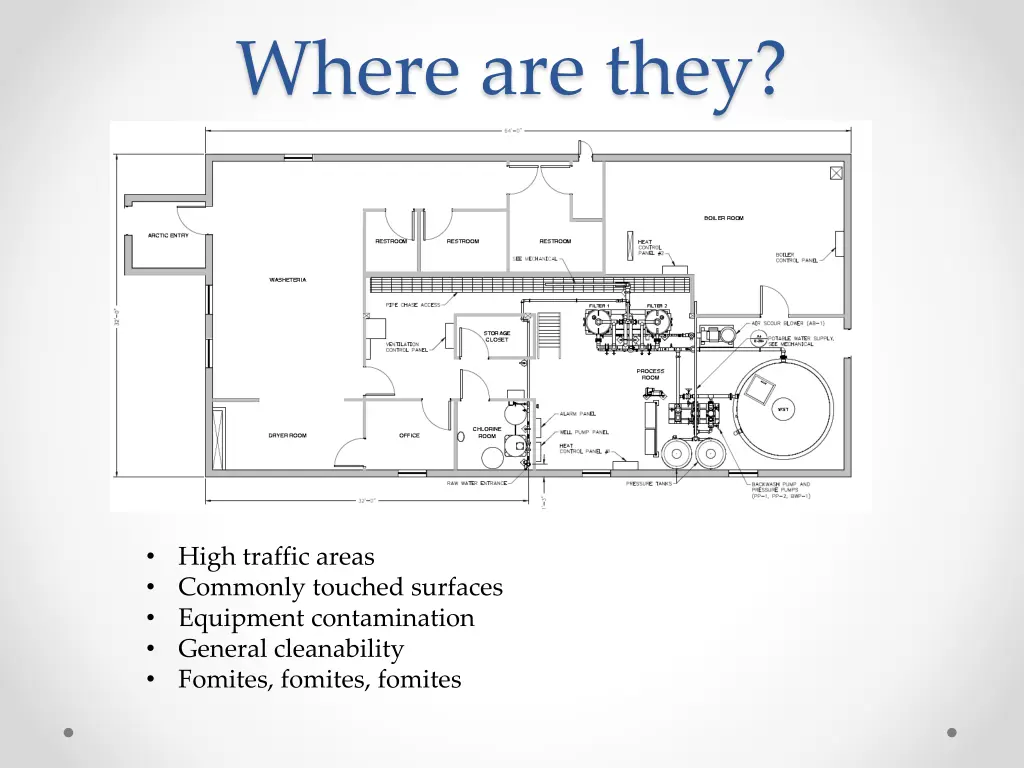 where are they