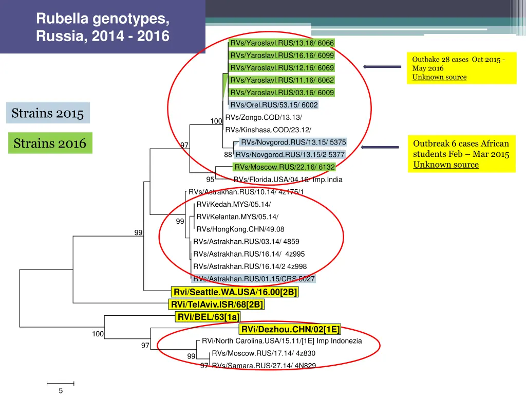 rubella genotypes russia 2014 2016