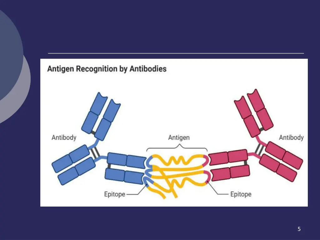 slide5