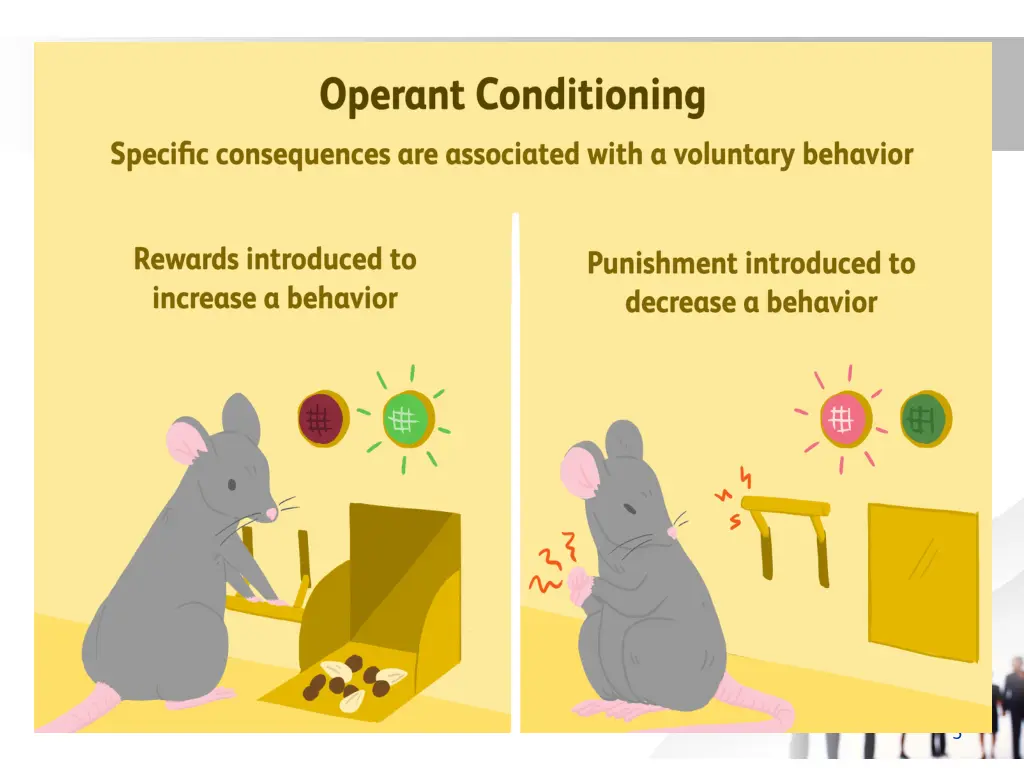 slide5