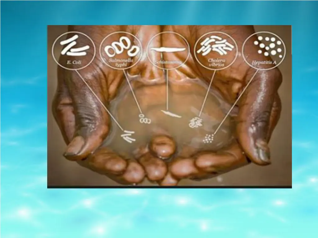 slide7