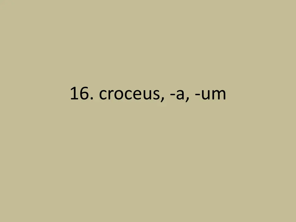 16 croceus a um