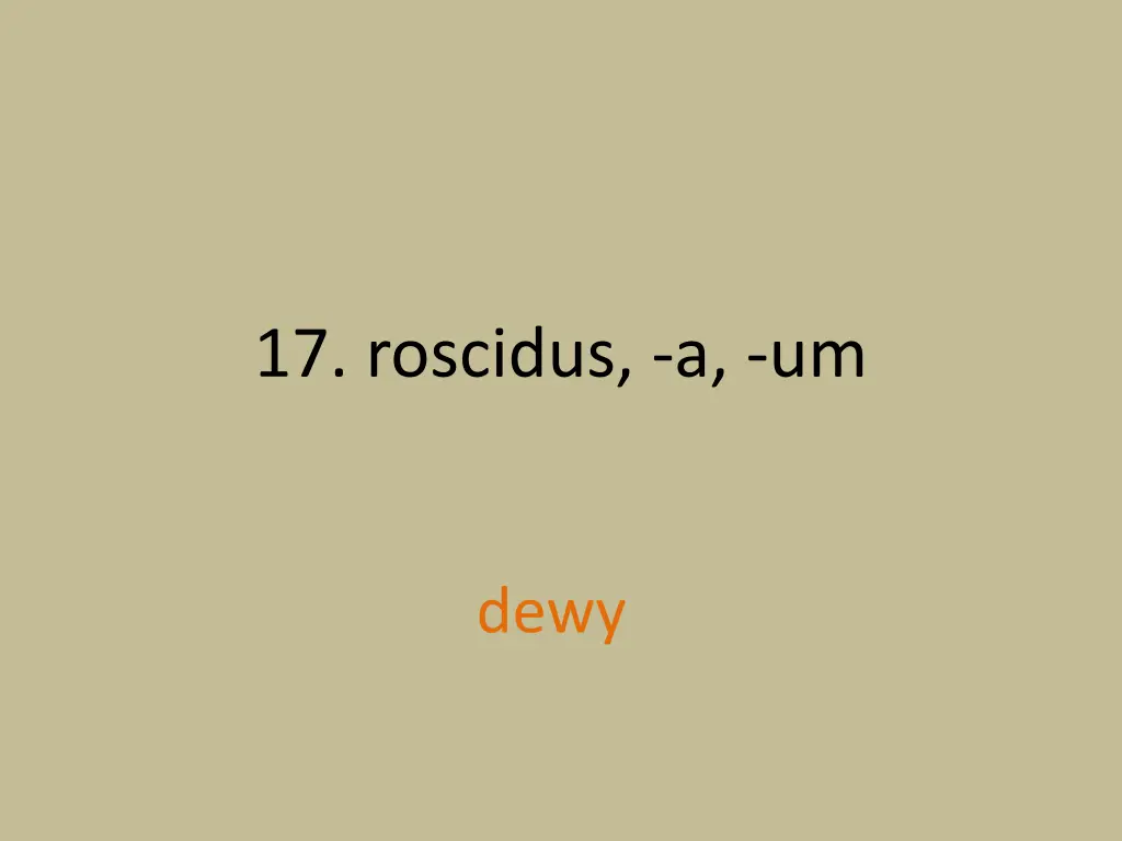 17 roscidus a um 1