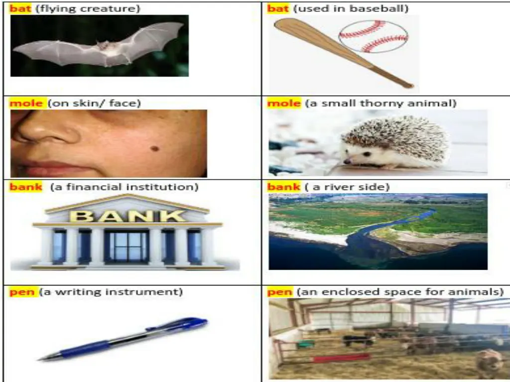slide24