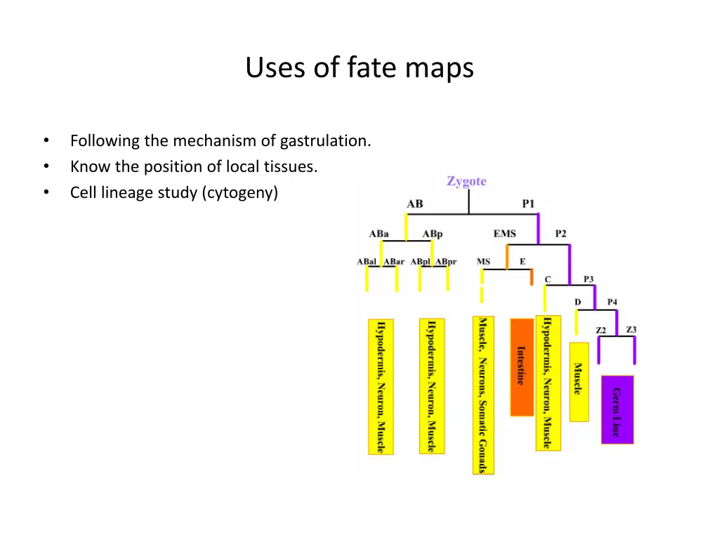 uses of fate maps